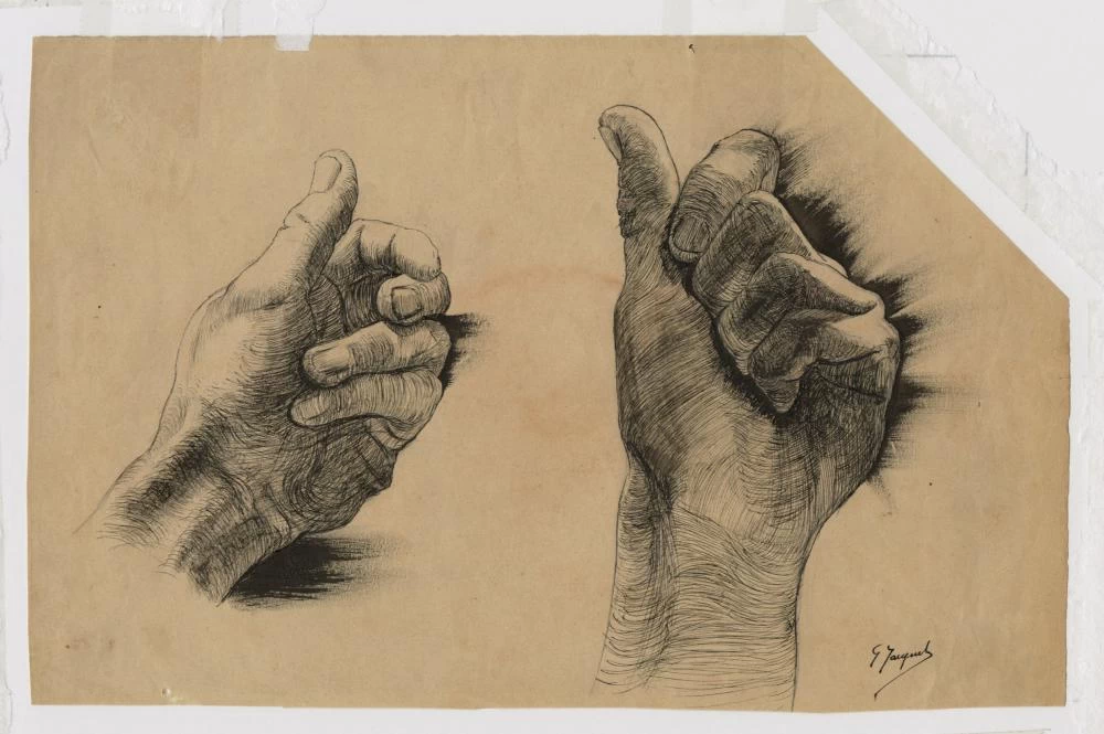 Studio di mani